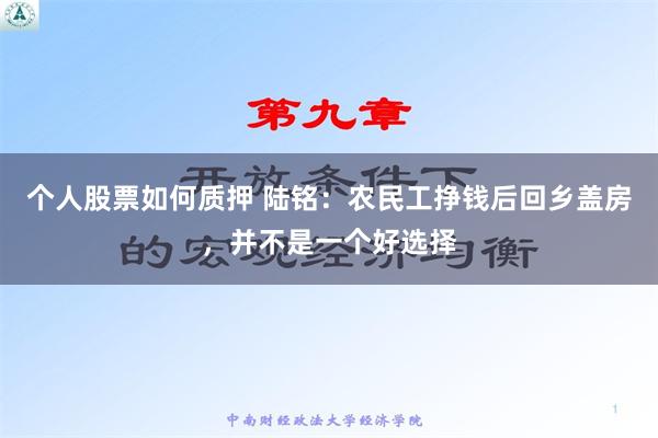 个人股票如何质押 陆铭：农民工挣钱后回乡盖房，并不是一个好选择