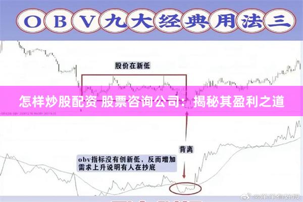 怎样炒股配资 股票咨询公司：揭秘其盈利之道