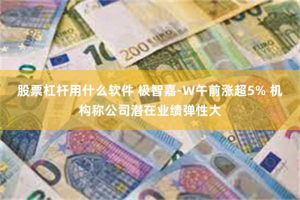股票杠杆用什么软件 极智嘉-W午前涨超5% 机构称公司潜在业绩弹性大